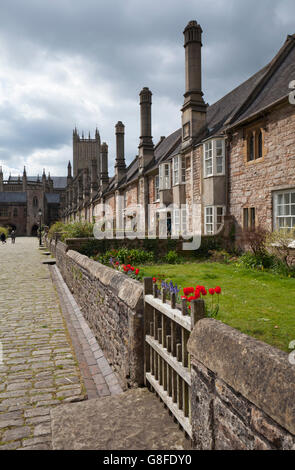 Une vue de la cathédrale de Wells et vicaires Fermer au printemps, Wells, Somerset, Angleterre Banque D'Images