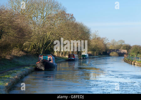 Trois narrowboats amarrés sur un Grand Union canal gelé entre Braunston Norton Junction et dans le Northamptonshire, Angleterre Banque D'Images