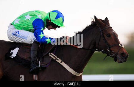 Ascot Racecourse - Novembre Week-end de course Banque D'Images