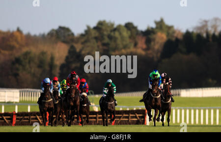 Desert Queen (2e à droite), criblé de M. Michael Legg, court entre les haies lors du premier circuit avant de gagner l'haies Trisoft Mares's Handicap (qualification pour la finale de la série de haies Challenger Mares) (classe 3) (4 ans plus) pendant le week-end de course de novembre à l'hippodrome d'Ascot. Banque D'Images