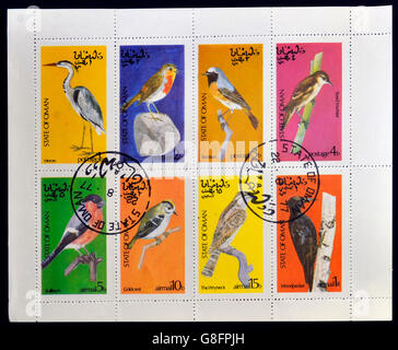 Etat d'OMAN - circa 1977 : timbres de collections imprimées dans la région d'Oman montre série consacrée aux oiseaux, circa 1977 Banque D'Images