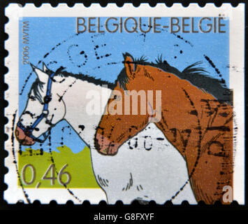 Belgique - circa 2006 : timbre imprimé en Belgique montre deux chevaux, vers 2006 Banque D'Images