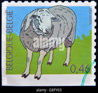 Belgique - circa 2006 : timbre imprimé en Belgique montre un mouton, circa 2006 Banque D'Images