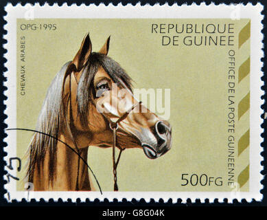 République de Guinée - circa 1995 : timbre imprimé en République de Guinée montre cheval arabe, circa 1995 Banque D'Images