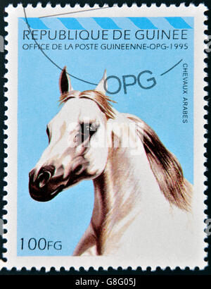 République de Guinée - circa 1995 : timbre imprimé en République de Guinée montre cheval arabe, circa 1995 Banque D'Images