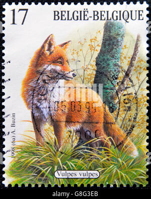 Belgique - circa 1998 : timbre imprimé en Belgique montre fox (Vulpes vulpes), vers 1998 Banque D'Images