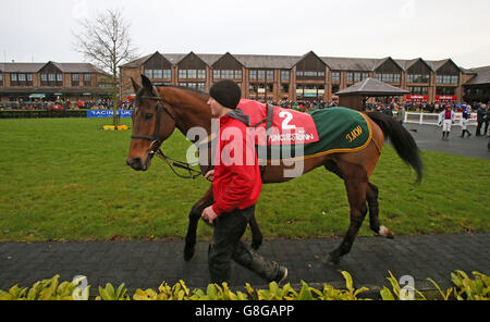 Seabass dans le défilé anneau avant le 3 pour 2 Festival Billets @ punchestown.com handicap Steeplechase pendant le John Durkan Memorial Chase Day au Punchabown Racecourse, Co. Kildare, Irlande. Banque D'Images