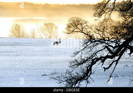 Météo Hiver 2015 13 déc. Banque D'Images