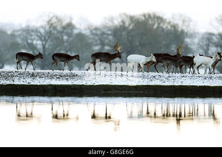 Météo Hiver 2015 13 déc. Banque D'Images