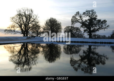 Les cerfs parcourent les terrains d'un château de Raby couvert de neige dans le comté de Durham. Banque D'Images