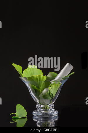 Ginko Bilboa feuille avec mortier en verre sur fond noir Banque D'Images