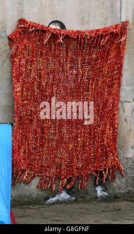 Une couverture couvre une fresque de l'artiste de rue insaisissable Banksy du co-fondateur d'Apple Steve Jobs, dans un camp de migrants à la périphérie de Calais. La pièce a gagné une telle popularité que les gens sont facturés pour la couverture d'être levé à ce qu'ils peuvent le voir. Banque D'Images