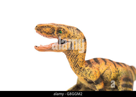 Velociraptor jaune jouet sur un fond blanc Banque D'Images