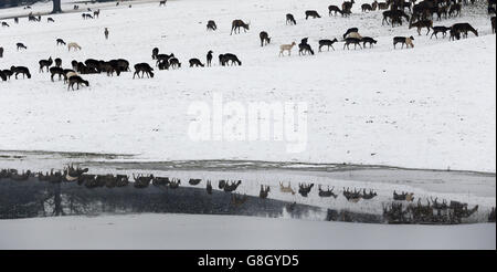 Météo Hiver 2015 13 déc. Banque D'Images