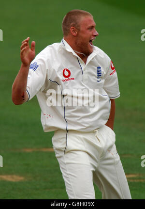 Cricket - les cendres - npower First Test - Angleterre v Australie - Lord's.Andrew Flintooff, de l'Angleterre, célèbre le cricket de Justin Langer, en Australie, pour quarante ans Banque D'Images