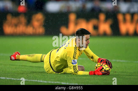 Swansea City v Bournemouth AFC - Barclays Premier League - stade Liberty Banque D'Images