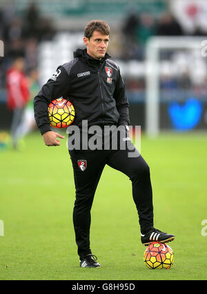 Swansea City v Bournemouth AFC - Barclays Premier League - stade Liberty Banque D'Images