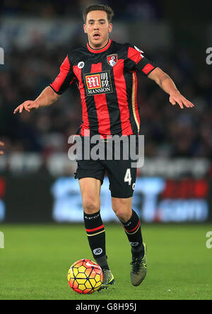 Swansea City v Bournemouth AFC - Barclays Premier League - stade Liberty Banque D'Images