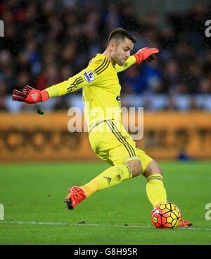 Swansea City v Bournemouth AFC - Barclays Premier League - stade Liberty Banque D'Images