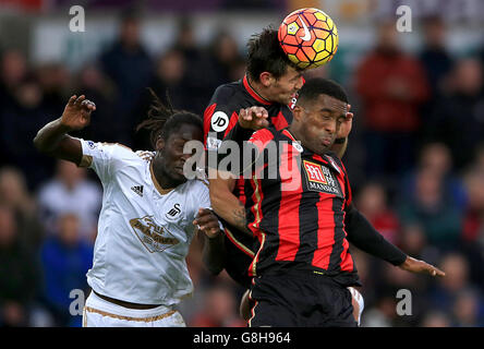 Swansea City v Bournemouth AFC - Barclays Premier League - stade Liberty Banque D'Images