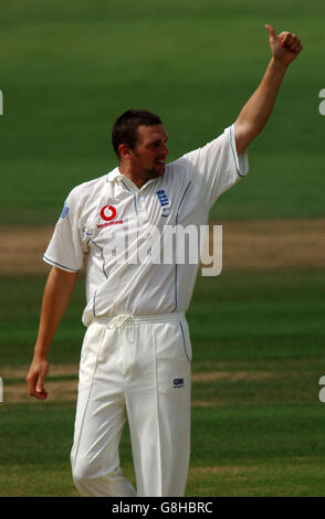 Le joueur d'Angleterre Steve Harmison célèbre ses cinq vols de cricket Banque D'Images