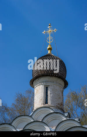 Dôme de l'église de l'Archange Michael dans Arkhangelskoye domaine près de Moscou Banque D'Images