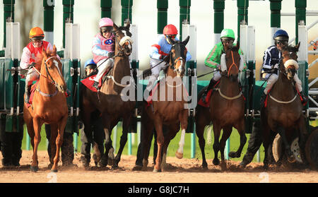 Les courses de chevaux - Southwell Racecourse Banque D'Images