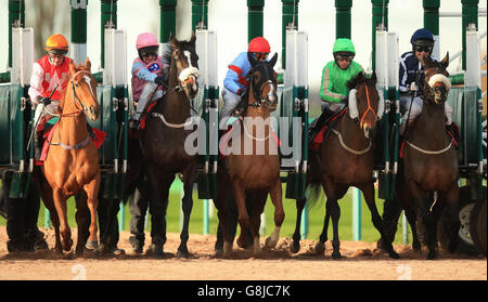 Les courses de chevaux - Southwell Racecourse Banque D'Images