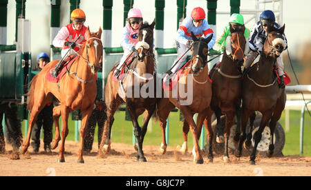 Les courses de chevaux - Southwell Racecourse Banque D'Images