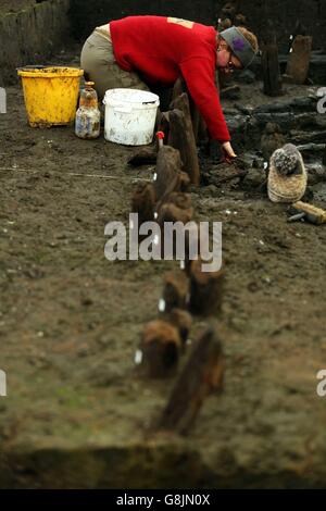 La ferme doit bien Banque D'Images