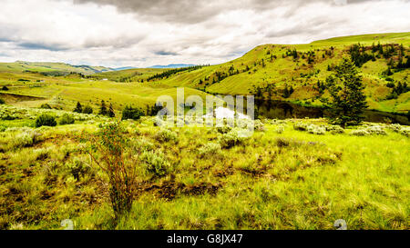 Les collines et les prairies de la vallée de la Nicola près de Merritt, Colombie-Britannique, Canada Banque D'Images