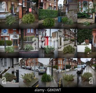 Arbres de Noël.Photo combinée montrant les arbres de Noël rejetés sont vus à gauche dans les rues de Battersea, Londres. Banque D'Images