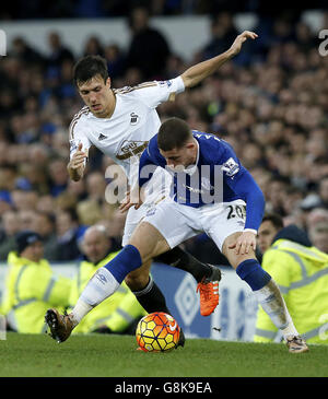 Jack Cork de Swansea City (à gauche) et Ross Barkley d'Everton se battent pour le ballon lors du match de la Barclays Premier League au Goodison Park, à Everton. Banque D'Images