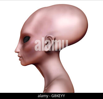 Alien hybride femme tête allongée / vue latérale du crâne sur blanc. Banque D'Images