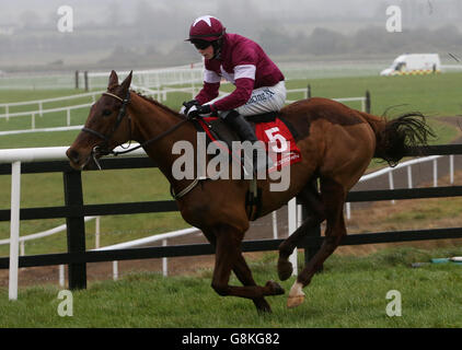 Balko des Flos est monté par Bryan Cooper sur le chemin de gagner l'obstacle Michael Fitzpatrick Memorial Maiden pendant le Boylesports lié Cottage Chase Day à l'hippodrome de Punchestown, comté de Kildare. Banque D'Images