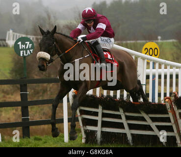 Ball d'Arc monté par Bryan Cooper remet en jeu le dernier sur la voie de gagner l'I.N.H.Propriétaires de stalion Fonds européen d'éleveurs de novice hailler pendant la Boylesports lié Cottage Chase Day au Punchestown Racecourse, comté de Kildare.APPUYEZ SUR ASSOCIATION photo.Date de la photo: Dimanche 31 janvier 2016.Voir PA Story RACING Punchestown.Le crédit photo devrait se lire comme suit : Brian Lawless/PA Wire. Banque D'Images