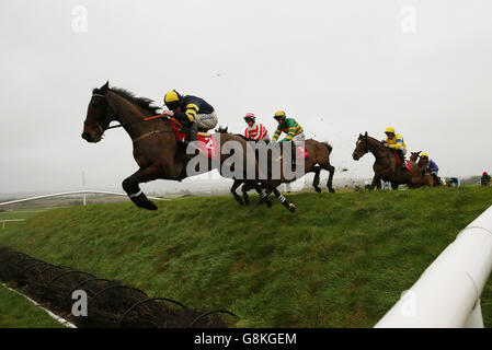 Ballyboker Bridge, monté par Andrew Lynch (à gauche), passe par Ruby's Double pour la première fois sur le chemin de gagner le P.P. Hogan Memorial Cross Country Steeplechase pendant le Boylesports lié Cottage Chase Day au Punchestown Racecourse, comté de Kildare. Banque D'Images