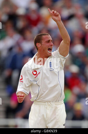 Simon Jones, en Angleterre, célèbre le cricket de Ricky, en Australie Ponting Banque D'Images