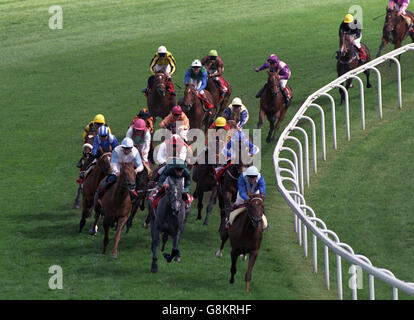 Les courses de chevaux - Toujours prêt Derby - Epsom Downs Racecourse Banque D'Images