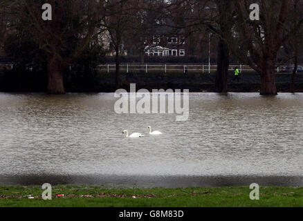 Les eaux d'inondation couvrent une partie du parc Old Deer à Richmond, Londres, à la suite de fortes pluies et de fortes marées provenant de la Tamise voisine. Banque D'Images