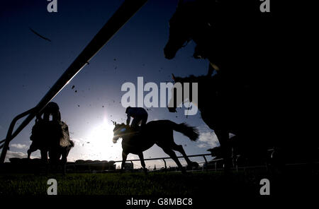 Festival Trial Day - courses de Cheltenham.Coureurs et cavaliers dans la course de haies des novices de Neptune Investment Management pendant la journée des essais du Festival à l'hippodrome de Cheltenham. Banque D'Images