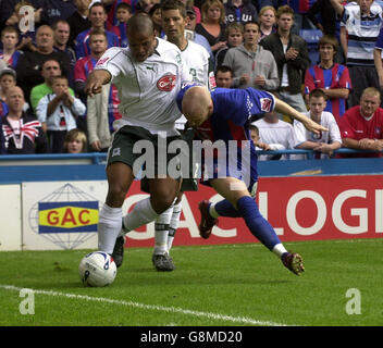 Soccer - Coca-Cola Championship - Crystal Palace v Plymouth Argyle - Selhurst Park Banque D'Images