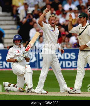 Shane Warne (C) en Australie célèbre Andrew Strauss en Angleterre, pris en 35 par Matthew Hayden (R) au cours du premier jour du quatrième match de npower Test à Trent Bridge, Nottingham. Banque D'Images