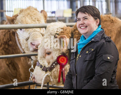 Ruth Davidson, dirigeante du parti conservateur écossais, lors d'une visite à Stirling Bull Sales en Écosse. Banque D'Images