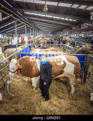 Ruth Davidson, dirigeante du parti conservateur écossais, lors d'une visite à Stirling Bull Sales en Écosse. Banque D'Images