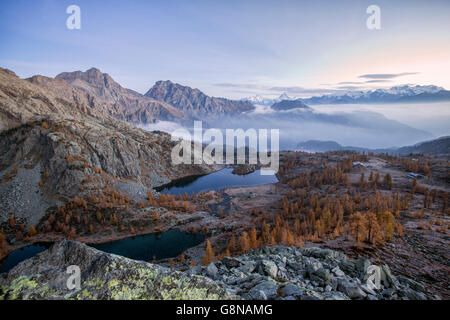 Lever du soleil sur le Mont Cervin et le Mont Rose Parc Naturel du Mont Avic Aoste Graian Alps Italie Europe Banque D'Images