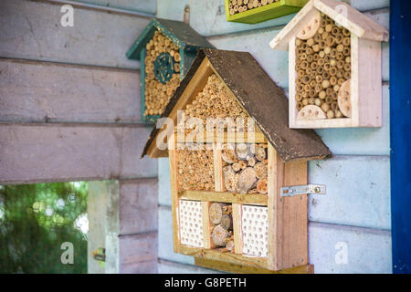 Lacewig en bois maison à abeilles Banque D'Images