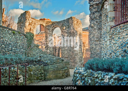 Abbey Ruins Lecture Berkshire UK Banque D'Images