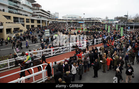 Les chevaux quittent le défilé pendant qu'ils vont poster avant le Racing Post Arkle Challenge Trophy Steeple Chase pendant le jour Champion du Cheltenham Festival 2016 à Cheltenham Racecourse. Banque D'Images