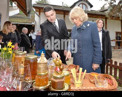 La duchesse de Cornwall regarde le miel produit au Musée de l'abeille à l'extérieur de Novi Sad, Serbie, le quatrième jour de son voyage de six jours dans quatre pays dans les Balkans. Banque D'Images